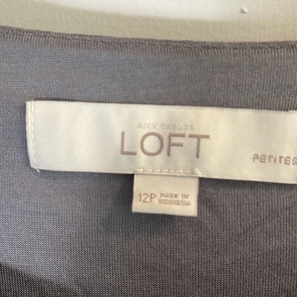 Ann Taylor Loft women’s sleeveless dress - Picture 3 of 4